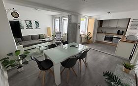 Große Stadtwohnung, modern und zentral gelegen